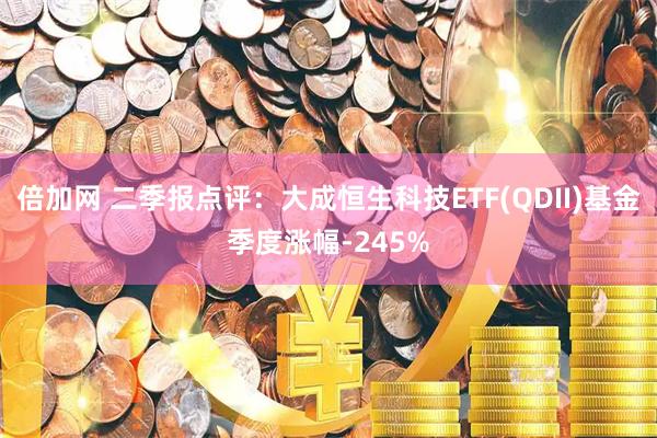 倍加网 二季报点评：大成恒生科技ETF(QDII)基金季度涨幅-245%