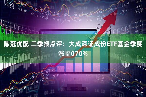 鼎冠优配 二季报点评：大成深证成份ETF基金季度涨幅070%